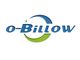 Jiangxi Billow Compressor Co., Ltd.