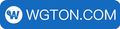 WGTON HK CO., LIMITED