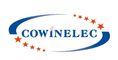 Cowin Electrical Co., Ltd.