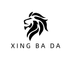 Guangzhou Xingbada Technology Ltd.