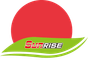 Xt Sunrise Industrial Co., Limited