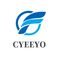 Jinan Cyeeyo Instruments Co., Ltd.