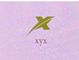 Nanjing Xiyuxun Technology Co., Ltd