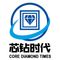 Jiangsu Core Drill Age Electronic Technology Co., Ltd