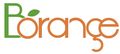Shenzhen Borange Technology Co., Ltd.