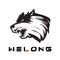 Shandong Welong Machinery Co., Ltd.