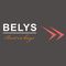 Guangzhou Belys Leather Co., Ltd.