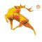 Hebei Guangxing Machinery Technology Co., Ltd.