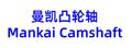 Shijiazhuang Mankai Auto Parts Sales Co., Ltd.