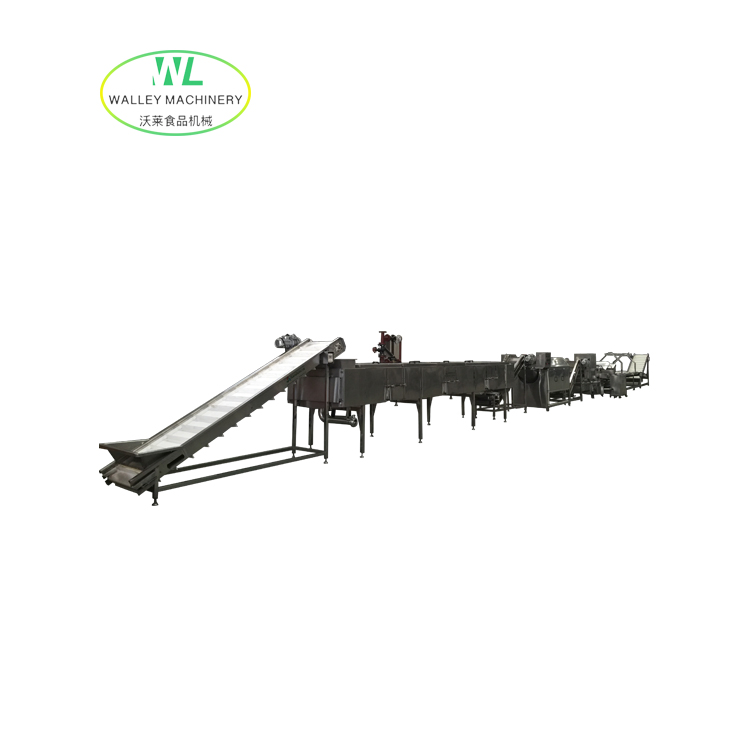 Walley Fruits and Vegetables Drying Production Line