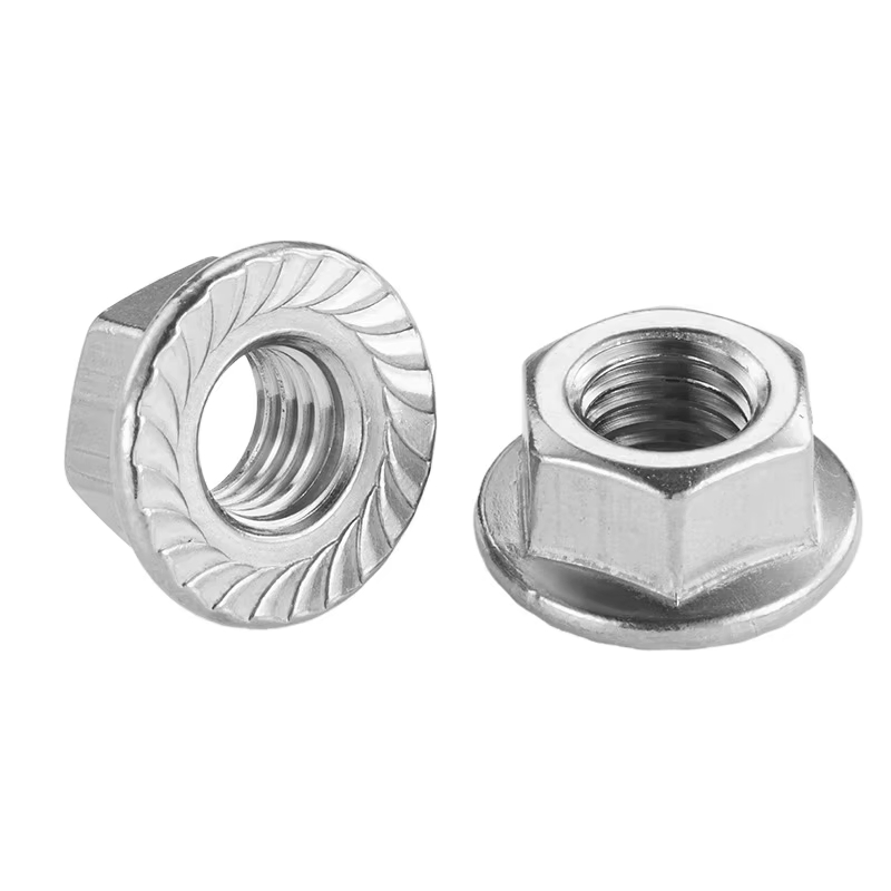 304/201/316 Stainless Steel DIN 6923 Hex Flange Nut