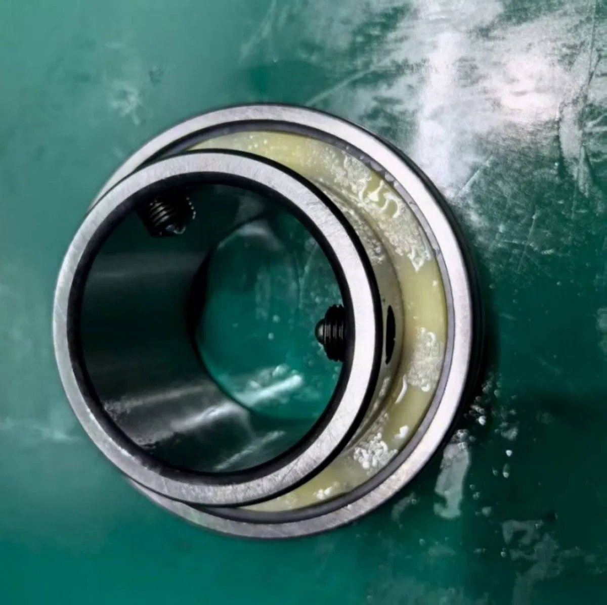 Low Noise Self-Lubricating Bearings for Food Processing Lines