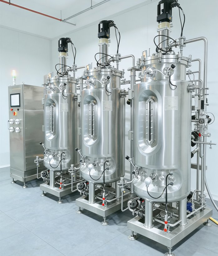 GMP-Compliant 304/316L Stainless Steel Fermenter for Microbial Fermentation