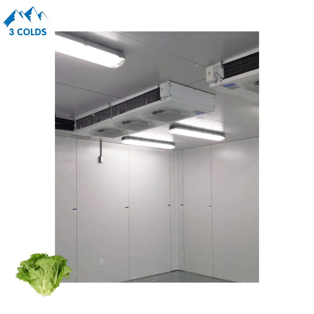 Industrial Vegetable Cold Storage for Farm