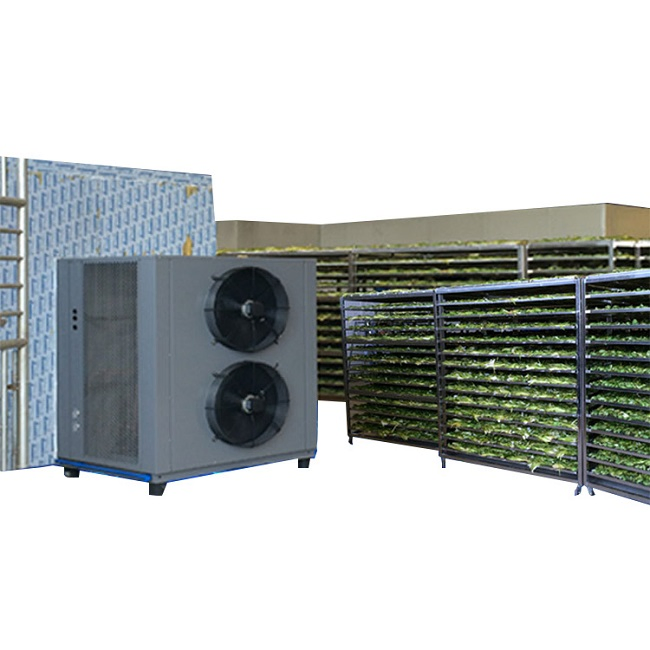 Máquina secadora de calamar de alta temperatura Deshidratador de manzana Secador de mango
