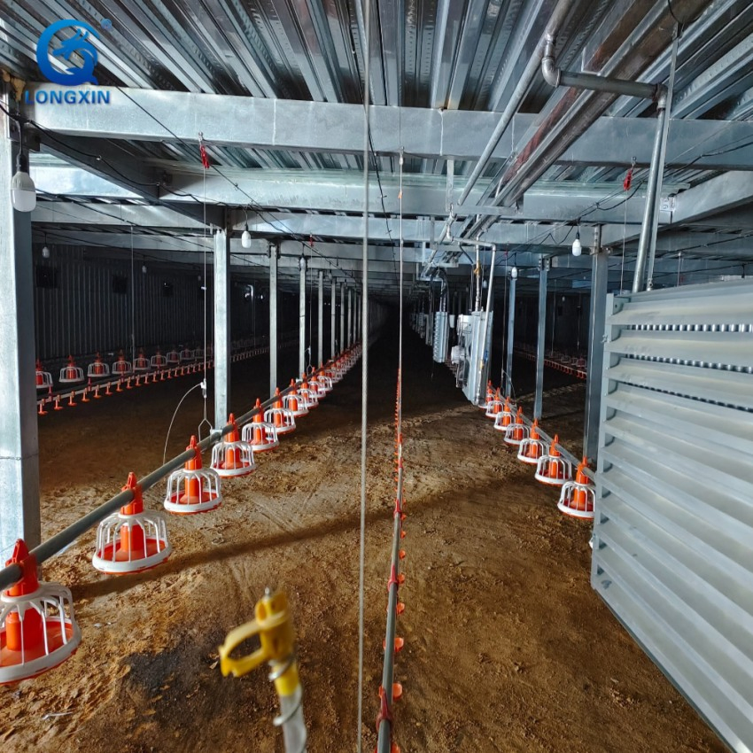 Low Cost Insulated Light Steel Broiler Chicken Farm with Complete Raising Equipment