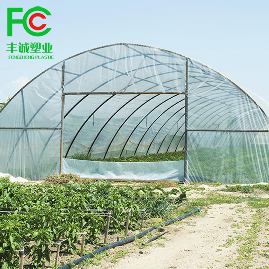 LDPE Greenhouse Film for Table Grape Cover Clear Greenhouse Film