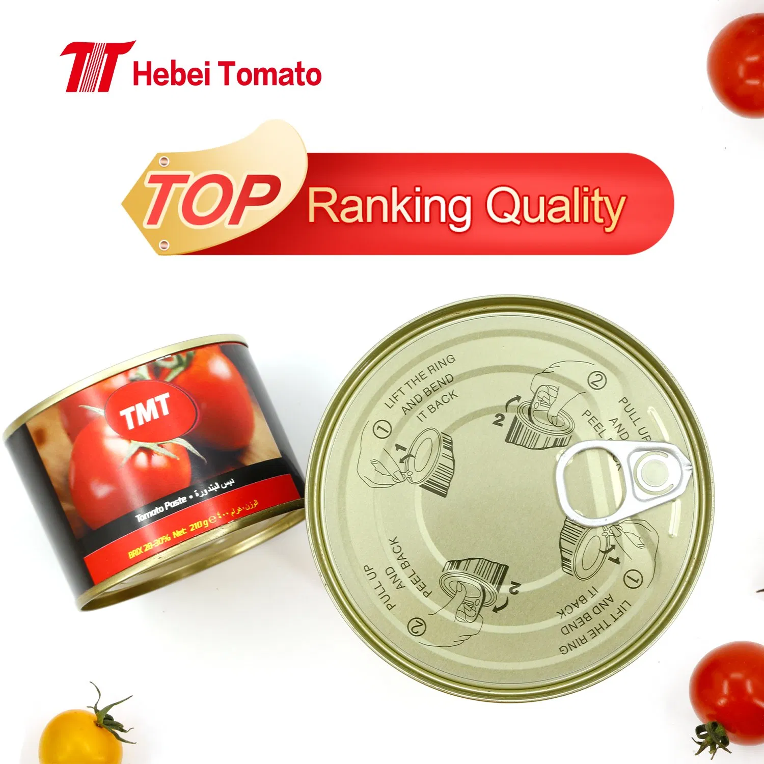 African Market Tin Tomato Paste with Salsa Brands 70g 210g 400g 2200g