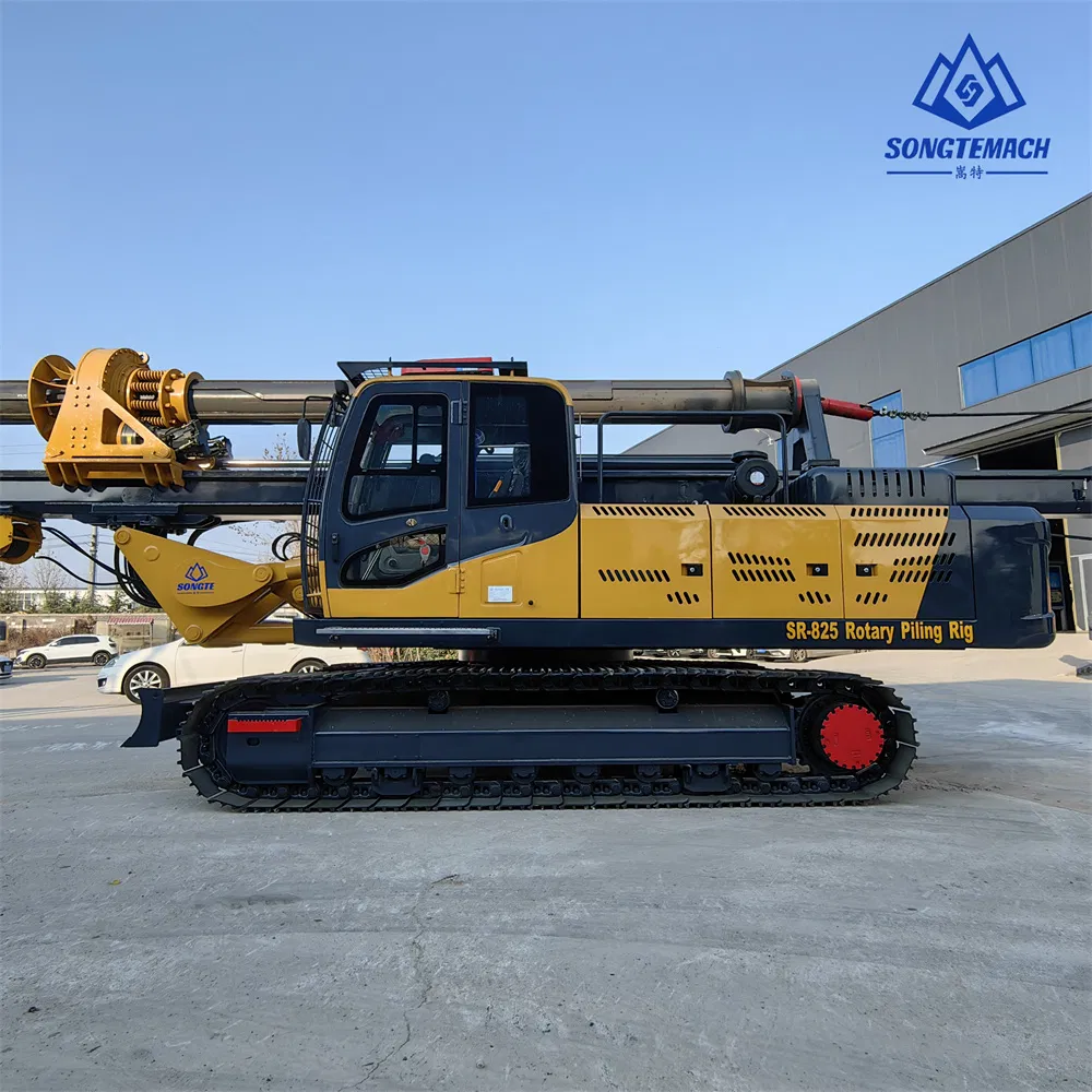 Small Medium Size Hydraulic Rotary Piling Rig Machine Pile Drilling Rig for Cast-in-Place Piles 25meter with CE