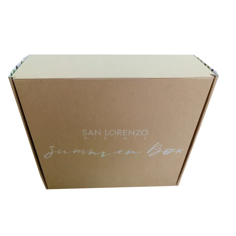 Caja de cartón corrugado duro para envío postal de embalaje para ropa, zapatos y sombreros