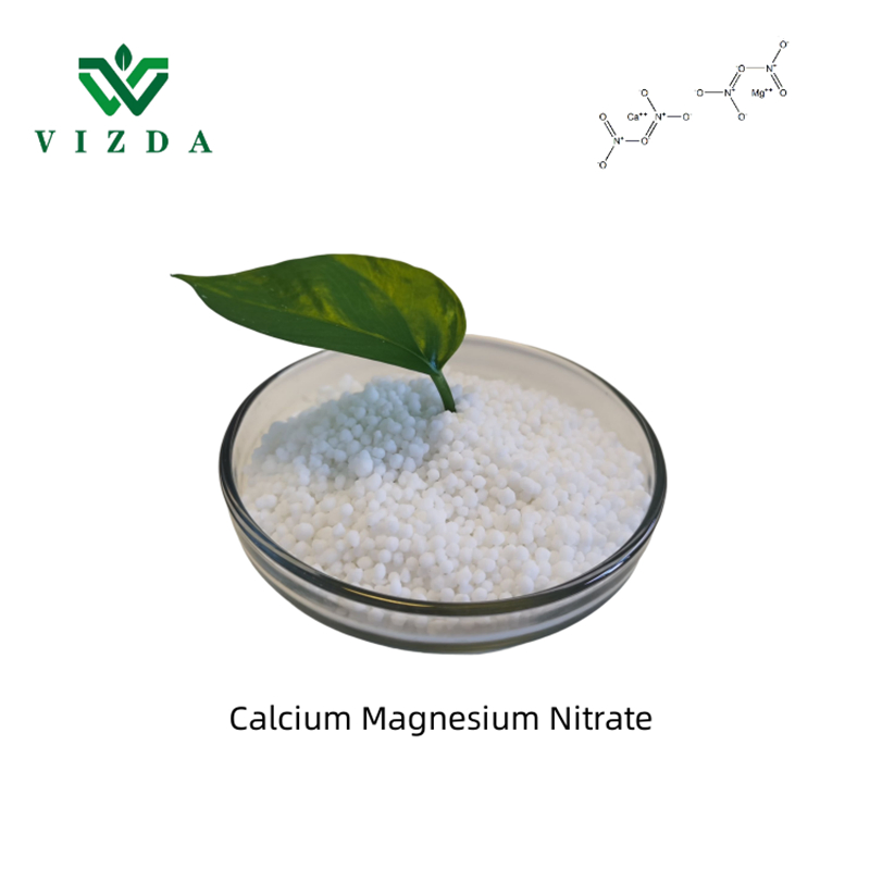 Granular Water Soluble Calcium Magnesium Nitrate Fertilizer CAS 15245-12-2