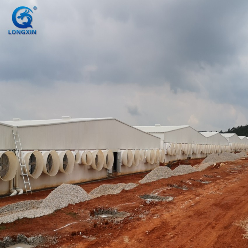 Construction de fermes porcines préfabriquées personnalisées à climat contrôlé