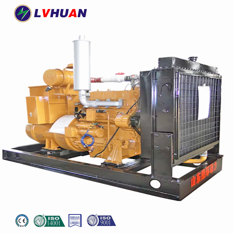 CE Approved Soundproof Biogas Electric Generator 10kW-1000kW for Digester