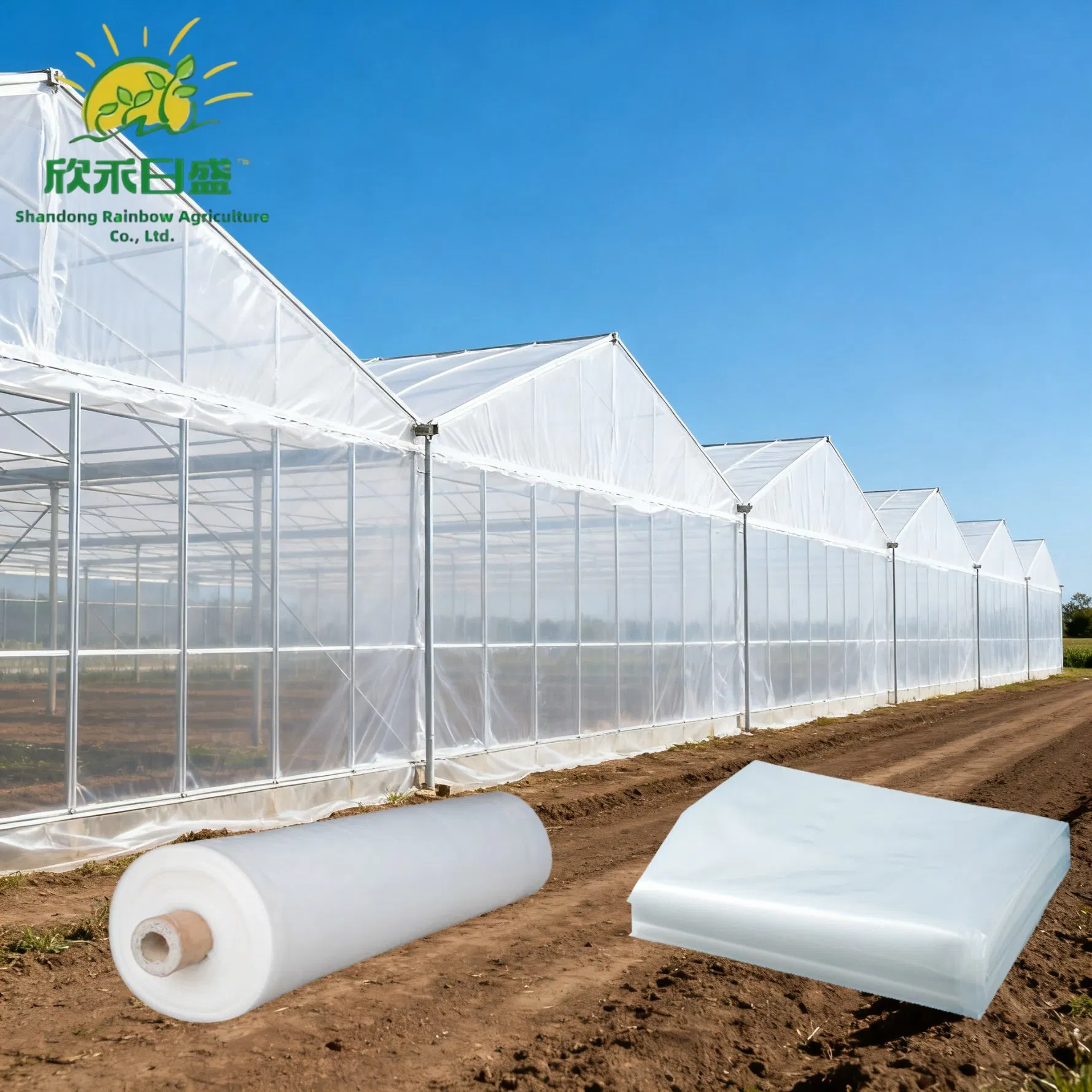 150-250μm Film agricolo in LDPE Copertura per serra in PE a lunga durata Larghezza personalizzata