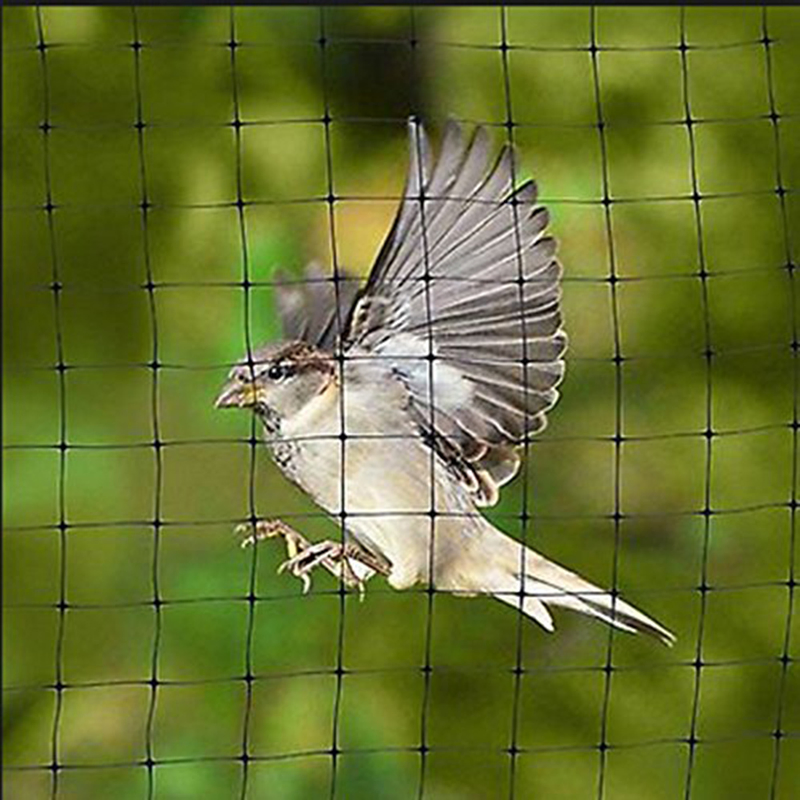 Agricultural Greenhouse Anti Bird Net Black PP Stretch Deer Fencing Mole Netting