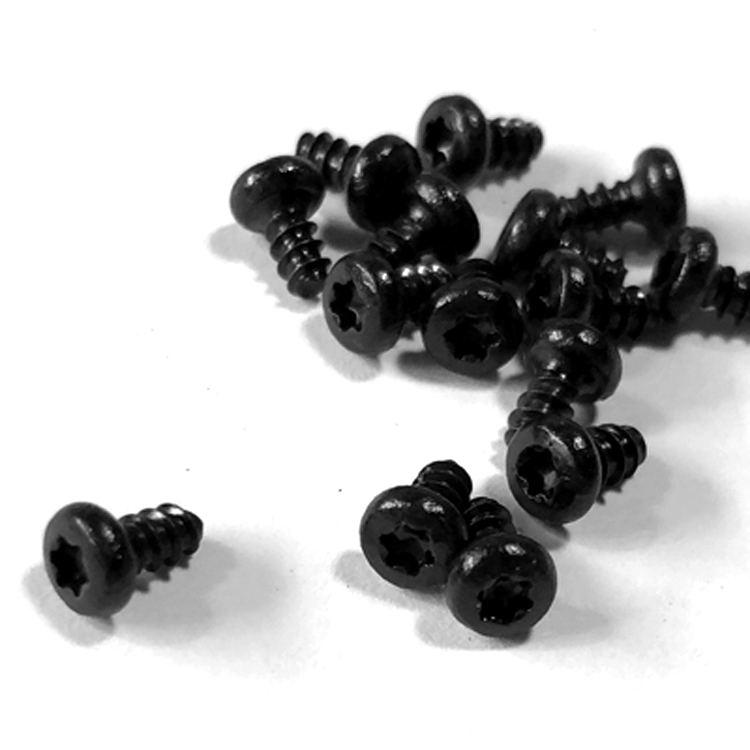Pan Head Torx Thread-Forming Screw