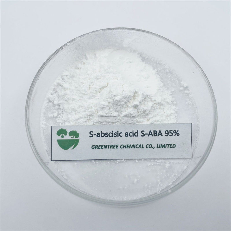 Acido S-Abscisico 95% Grado Tecnico Regolatore di Crescita delle Piante