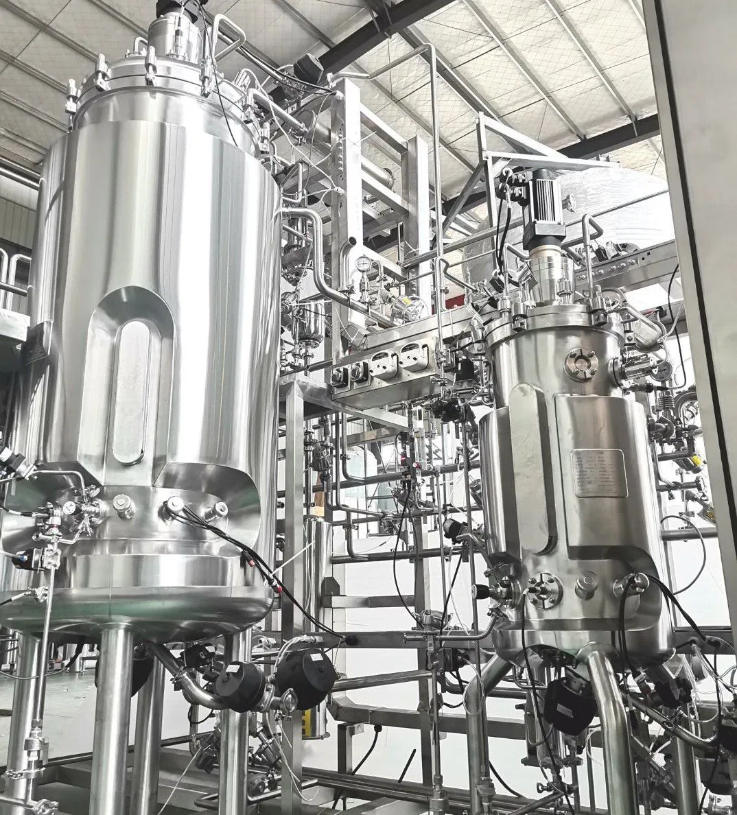 Edelstahl-Fermenter für die Produktion von Amylase, Lipase, Cellulase, Protease