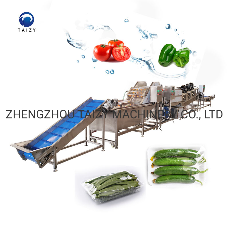 Fresh Vegetable Washing Machine Spinach Turnip Lettuce Processing and Packing Line