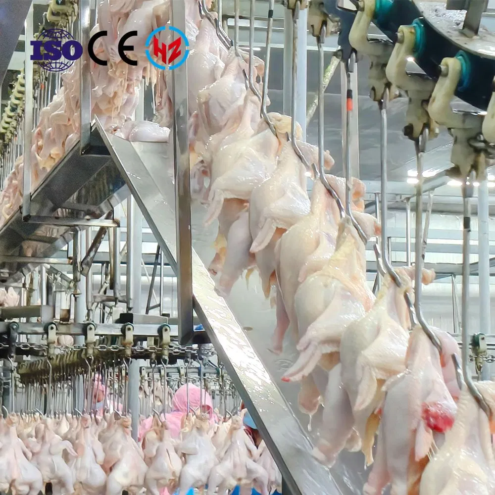 Broiler Layer Chicken Slaughter Machine for Converting Birds Slaughterhouse Stainless Steel