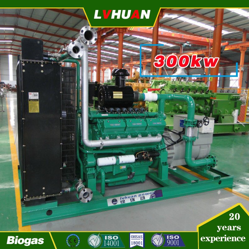 Generador de biogás de 300 kW