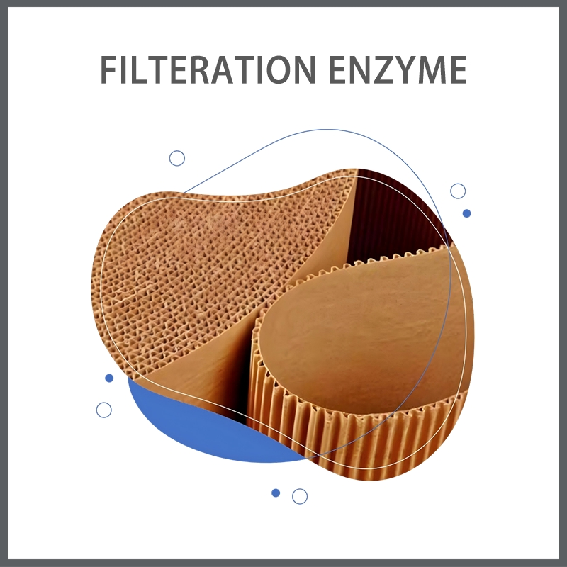 Special Water Filtration Enzyme for Papermaking