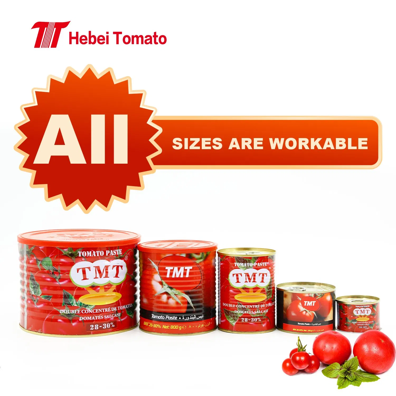 Tomato Paste and Tomato Ketchup