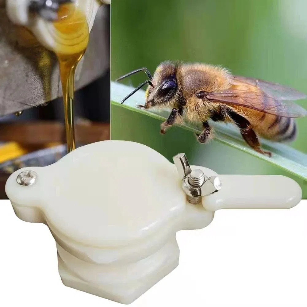 Langlebiges Bienenhonig-Ablaufventil, wiederverwendbares Imkerei-Pumpenextraktor-Abfüllventil aus Nylon, Imkerei-Ausrüstung, Bienenstock-Werkzeuge