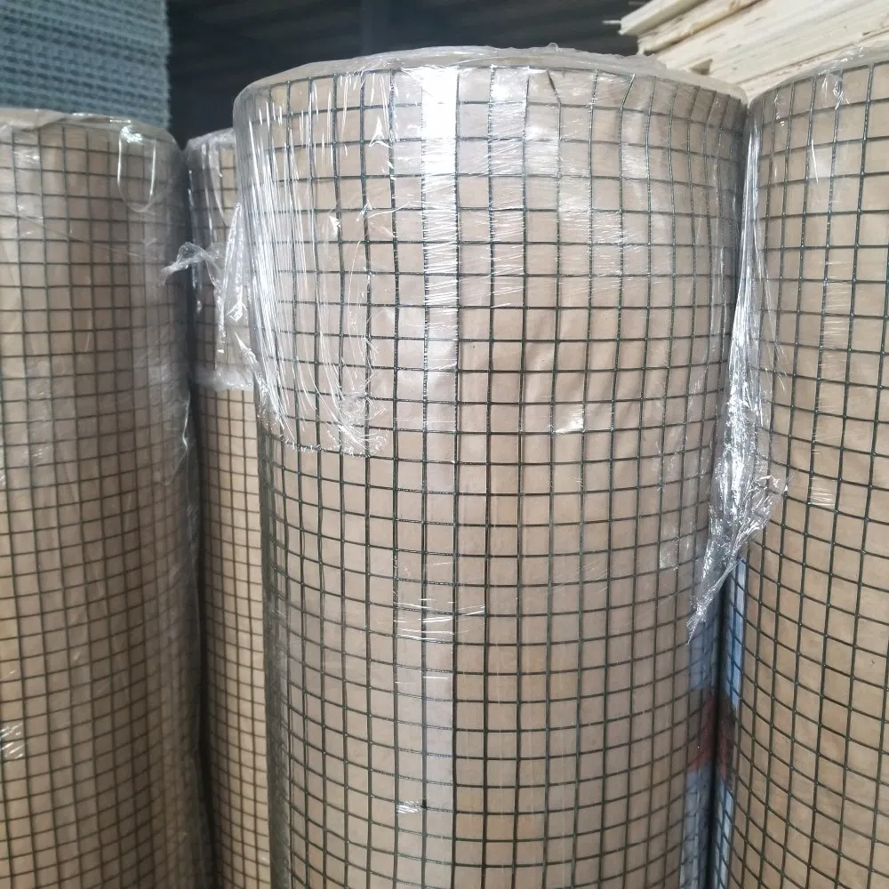 Hot Dipped Galvanized Bird Cage Welded Wire Mesh Fence