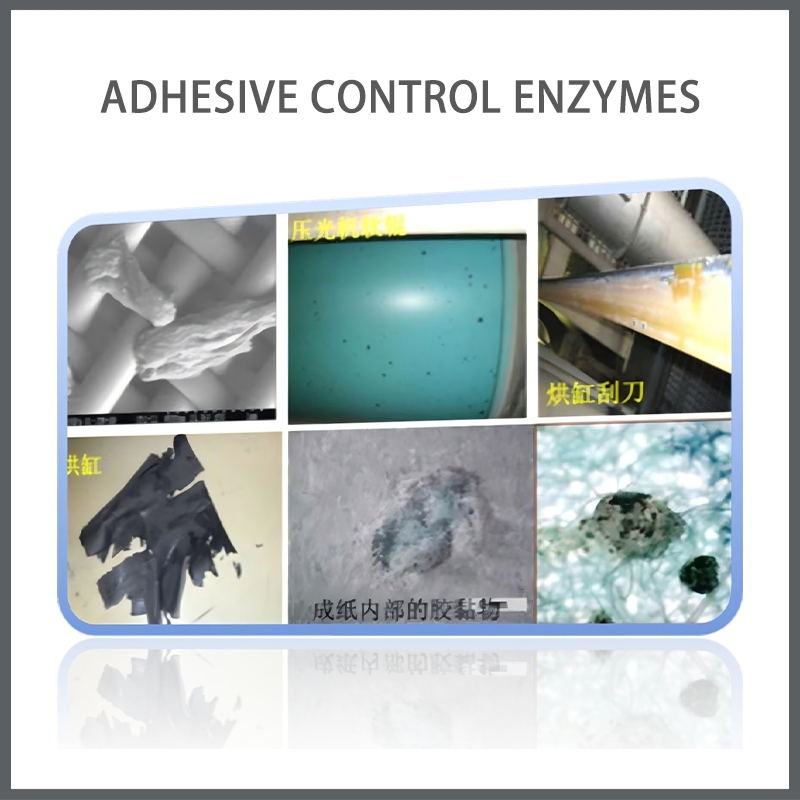 Cost-Effective Alternative to Traditional Adhesive Control Agents Adhesive Control Enzymes