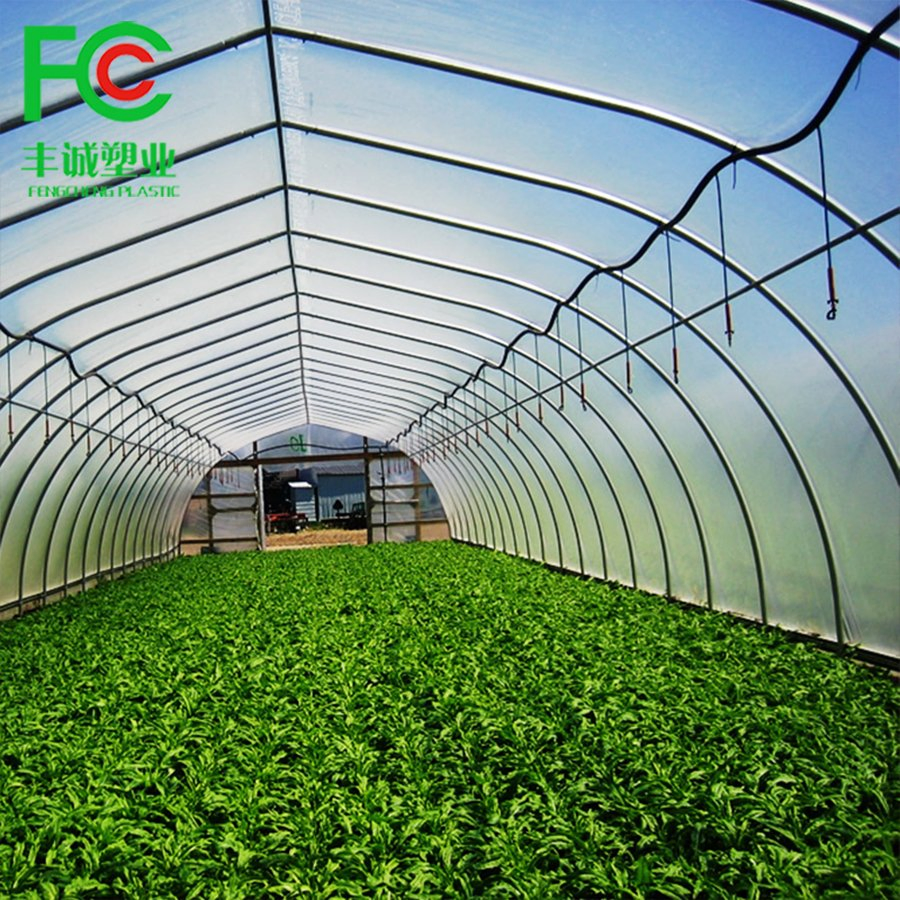 Agriculture 150 Microns / 200microns LDPE Film for Greenhouse