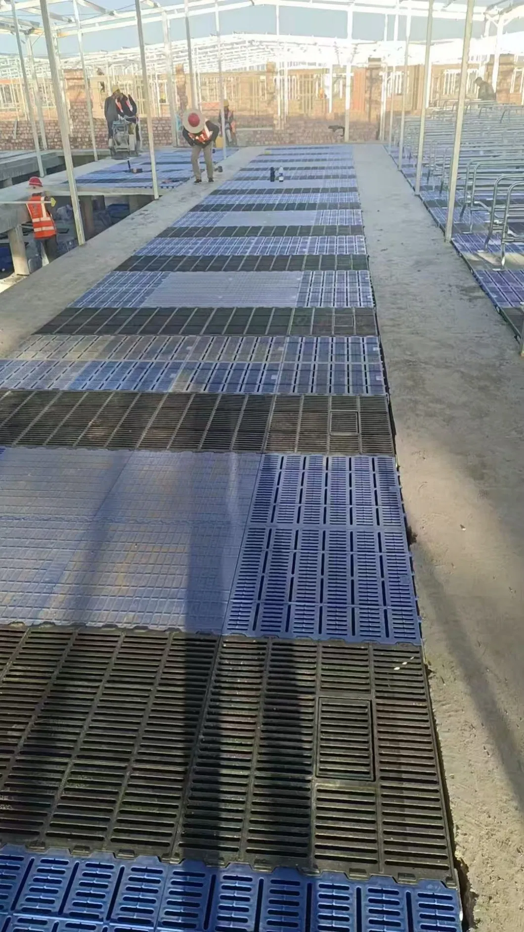 New Durable Weather Resistant Plastic Slatted Flooring for Pig Farm Use