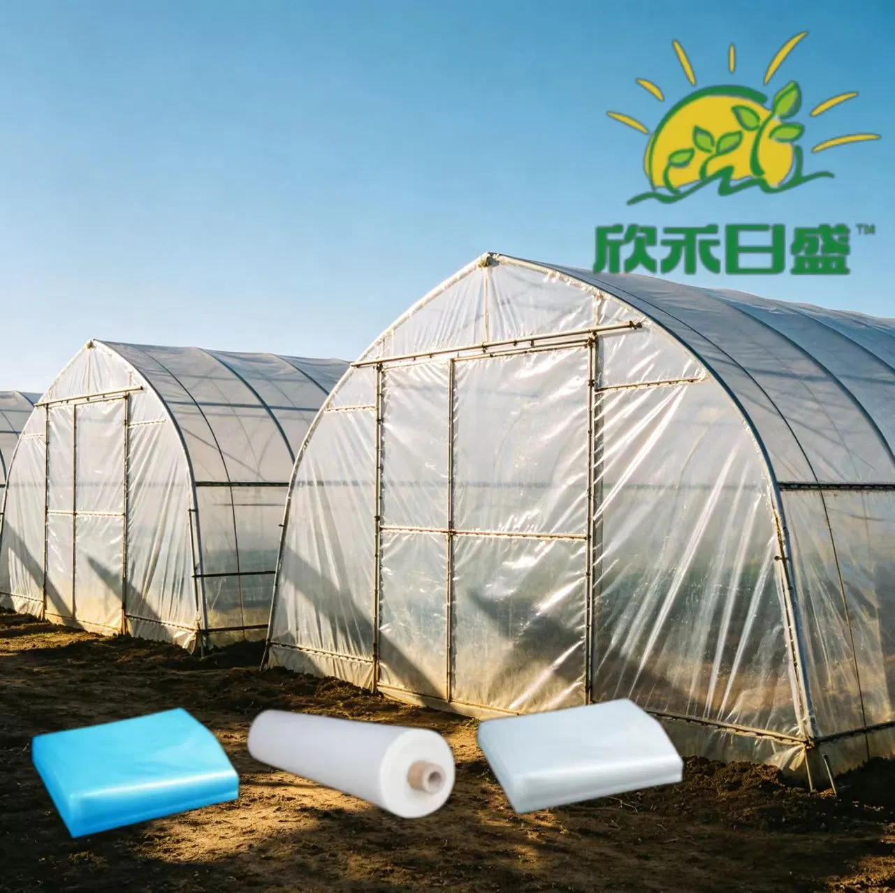 High-Strength Stretchable Greenhouse Film: Durable and Flexible for Any Greenhouse