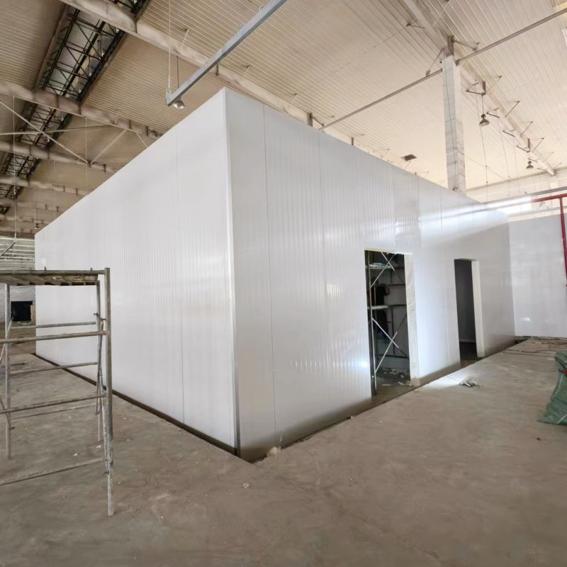 Industrial Thermal Insulation PU Panel Cold Room Swing Door