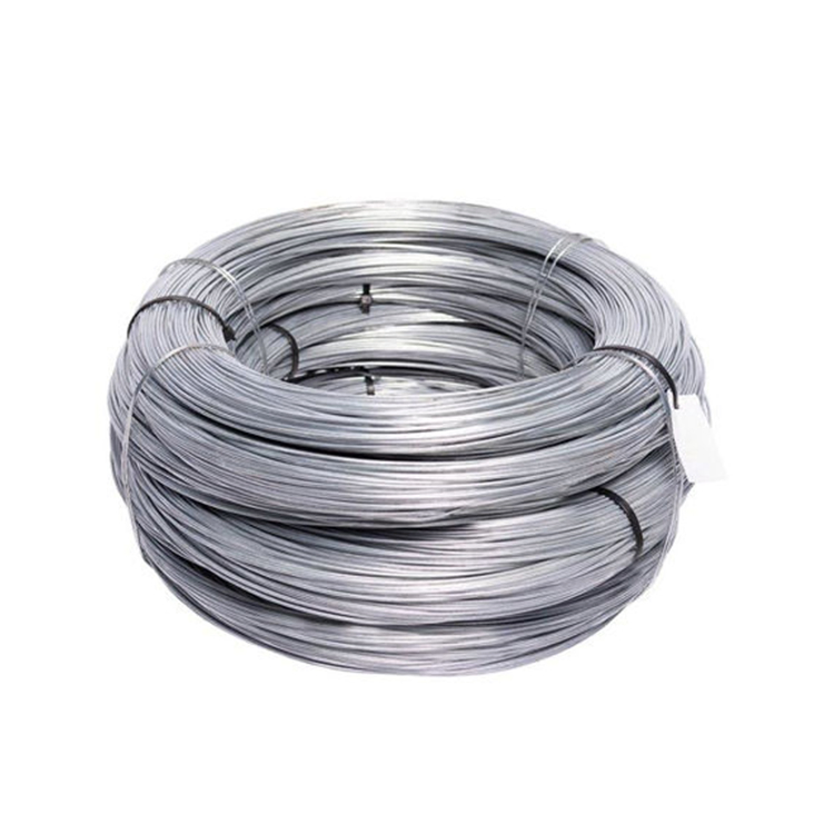 Electro Galvanized Wire for Fencing Solutions