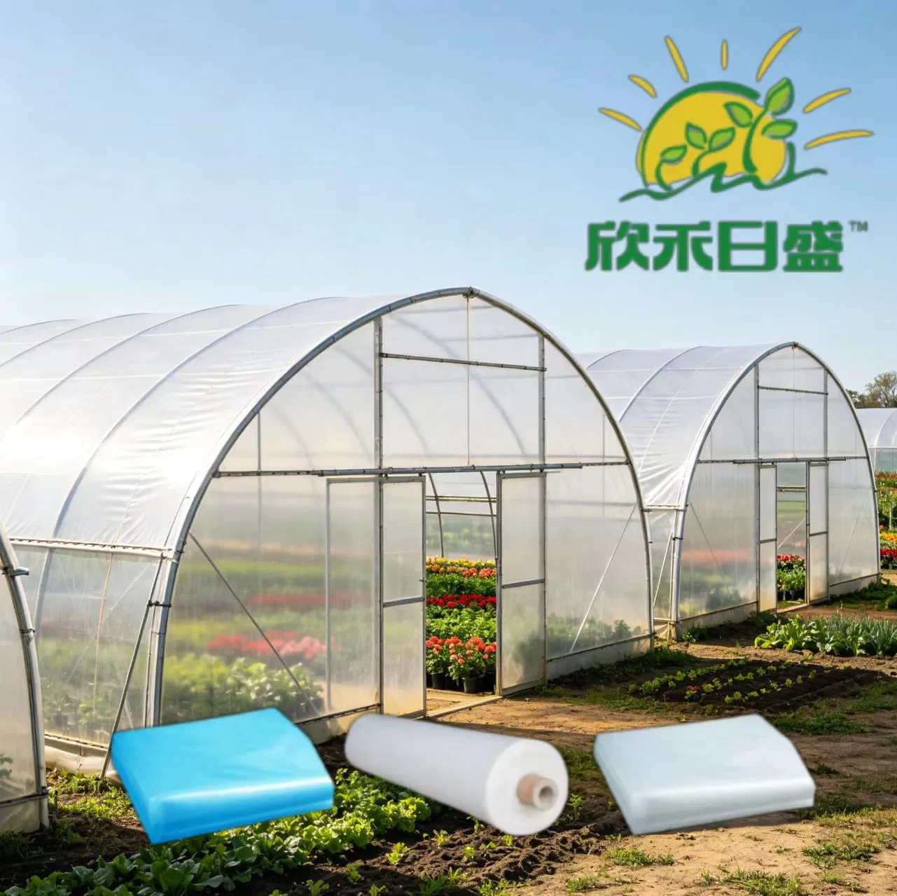 Rainbowag Economical High Performance Greenhouse Film Value for Money Farming Solution