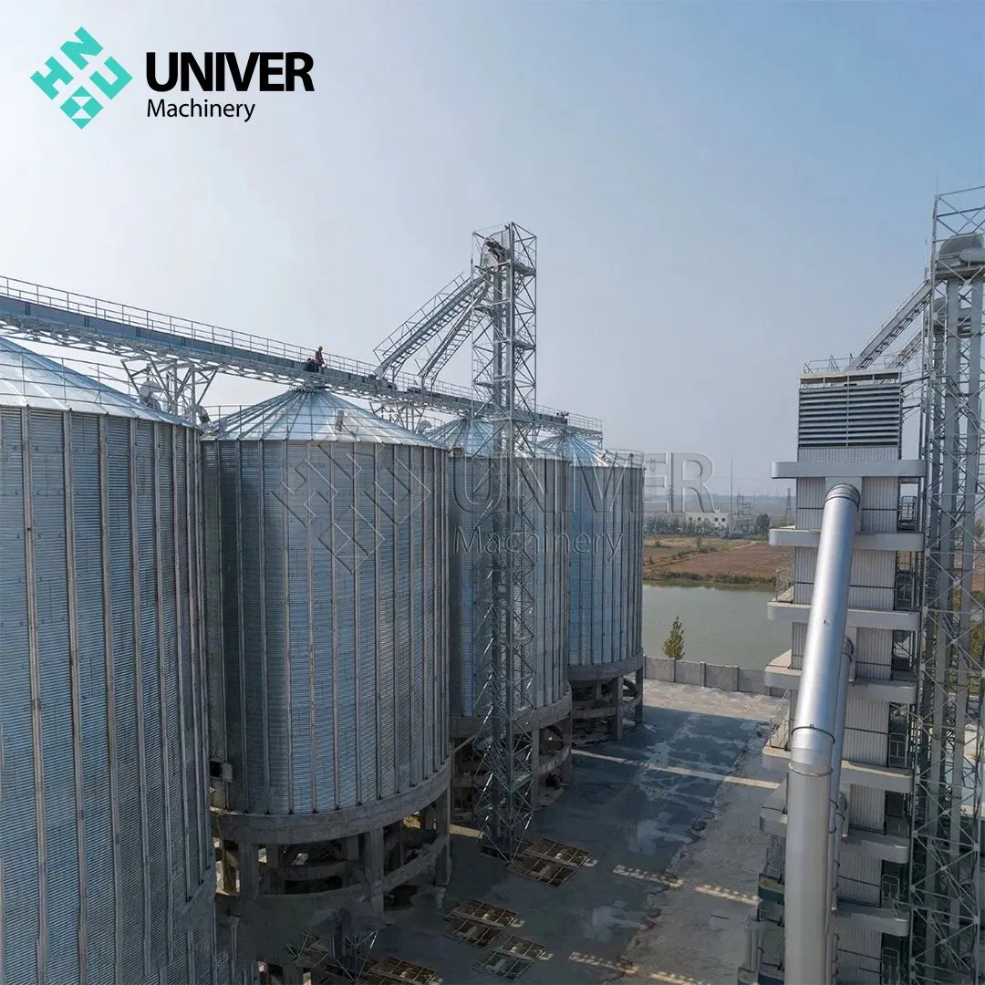 2000t Flat Bottom Feed Silo for Maize Storage Galvanized Steel Grain Tank