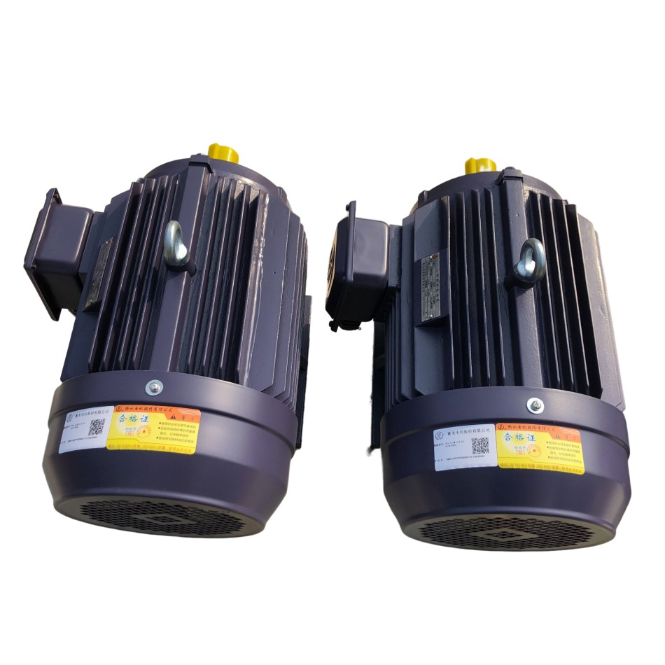 YE3-L Series Three Phase Asynchronous Electric Motor