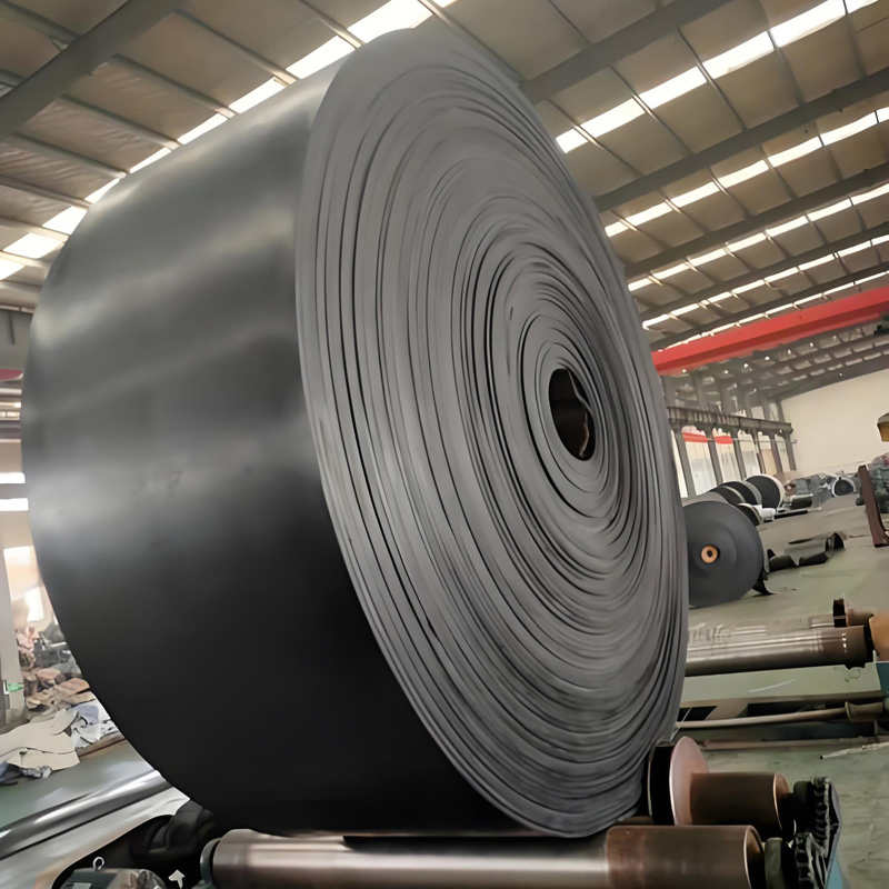 Larghezza 1200 mm, 5 strati, superficie superiore ruvida in cemento, nastri trasportatori personalizzati in tessuto cordone per miniera di carbone