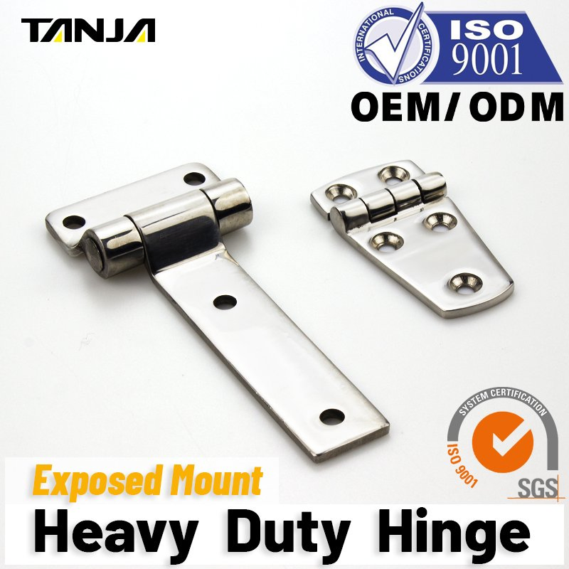 Factory Directly Tanja 304 Stainless Steel Door Hinge Heavy Duty Hinge for Cabinet